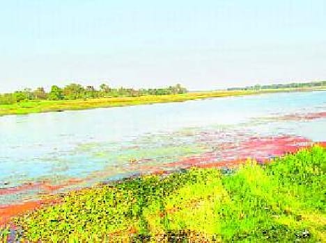 Expectations grew from the new tourism policy